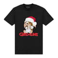 Miniatyrbild 1 av 2: Gremlins Unisex Vuxen Pappa Gizmo T-shirt