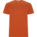 Miniatyrbild 1 av 4: Roly Barn/Kids Stafford kortärmad t-shirt
