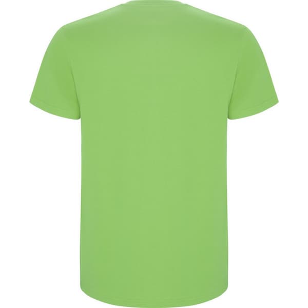 Roly Childrens/Kids Stafford Short-Sleeved T-Shirt