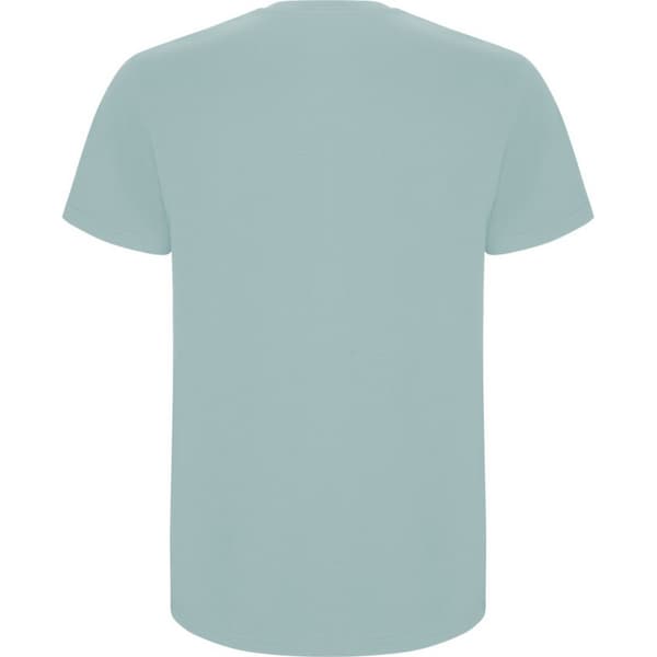 Roly Barn/Kids Stafford kortärmad t-shirt