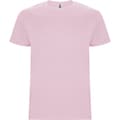 Miniatyrbild 1 av 4: Roly Barn/Kids Stafford kortärmad t-shirt