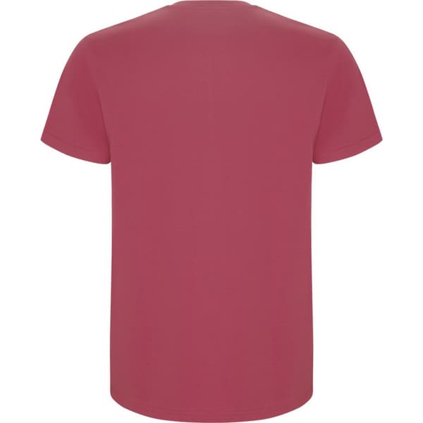 Roly Childrens/Kids Stafford Short-Sleeved T-Shirt
