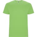 Miniatyrbild 1 av 4: Roly Barn/Kids Stafford kortärmad t-shirt