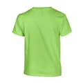 Miniatyrbillede 2 af 3: Gildan Childrens/Kids Heavy Cotton T-Shirt