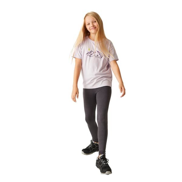 Regatta Childrens/Kids Alvarado VIII Mountain T-Shirt