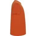 Miniatyrbilde 4 av 4: Roly Mens Stafford T-Shirt