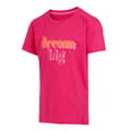 Miniatyrbillede 3 af 4: Regatta Childrens/Kids Bosley VII Dream Big T-Shirt