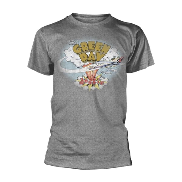 GREEN DAY - T-SHIRT, DOOKIE GREY XXL