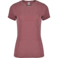 Pikkukuva 1 / 3: Roly Womens/Ladies Fox Heather Short-Sleeved T-Shirt