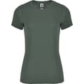 Pikkukuva 1 / 3: Roly Womens/Ladies Fox Heather Short-Sleeved T-Shirt