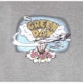 Miniatyrbilde 2 av 2: Green Day Womens/Ladies Vintage Dookie T-Shirt