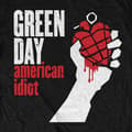 Miniatyrbilde 2 av 2: Green Day Childrens/Kids American Idiot T-Shirt