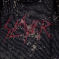 Pikkukuva 2 / 2: Slayer Womens/Ladies Scratchy Logo Mesh Crop Top