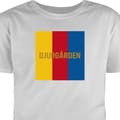 Miniatyrbillede 1 af 9: T-shirt til Børn | Klassisk Børne T-shirt Djurgården - fodbold