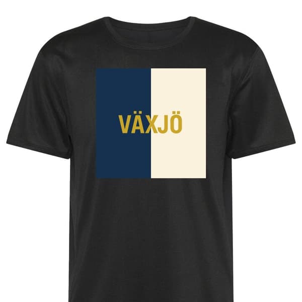 Sport T-skjorte for Voksen | Komfortabel Trenings T-skjorte Vä