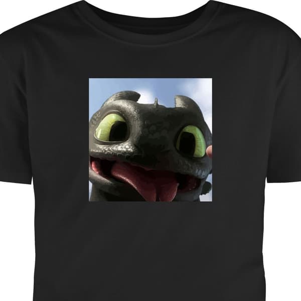 Voksen T-shirt | Behagelig T-shirt til Voksne Hvordan træner du din drage