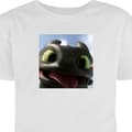 Miniatyrbillede 1 af 4: Voksen T-shirt | Behagelig T-shirt til Voksne Hvordan træner du din drage