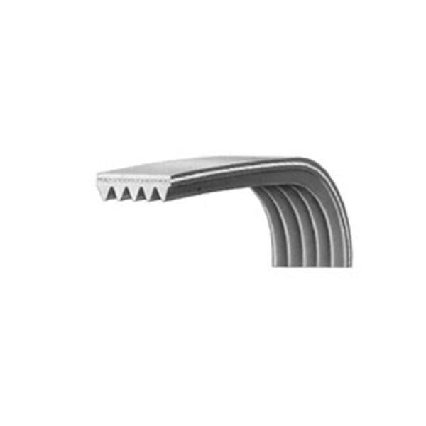 Courroie 1151H7 00126366 för tvättmaskin AYA, BRANDT, PROLINE, SABA, THOMSON