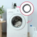 Miniatyrbild 4 av 4: Hublot manschett för Siemens tvättmaskin - WAE28361FF05 - 00361127 - TS560A01 - Originaltillverkade del
