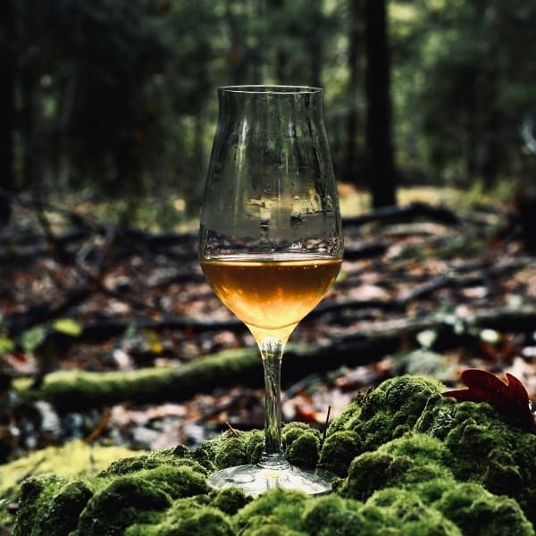 Whiskey glass 20cl, Model G110 - AmberGlass