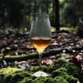 Miniatyrbild 2 av 3: Whiskyglas 20cl, Model G111 - AmberGlass