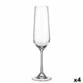Miniatyrbillede 1 af 2: Champagneglas Bohemia Crystal Sira 200 ml champagne 6 Dele (6 enheder) (4 enheder)