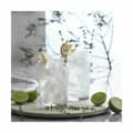 Miniatyrbild 3 av 5: Glasset Inde Bodega 515 ml (8 antal)