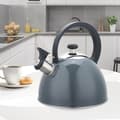 Miniatyrbillede 2 af 6: Tekande Feel Maestro MR-1302-GREY Sort Grå Rustfrit stål 2,5 L
