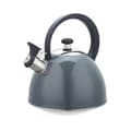 Miniatyrbillede 1 af 6: Tekande Feel Maestro MR-1302-GREY Sort Grå Rustfrit stål 2,5 L