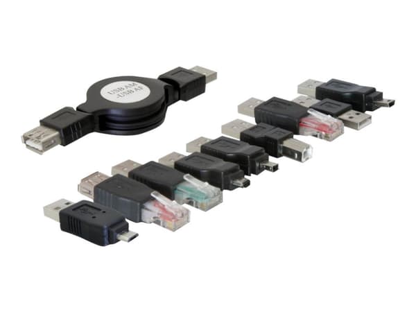 Delock USB adapter kit - USB-adaptersats