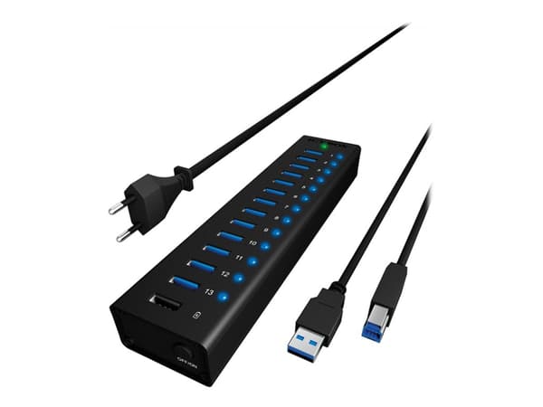ICY BOX IB-AC6113 - Hub - 13 x SuperSpeed USB 3.0 - stasjonær