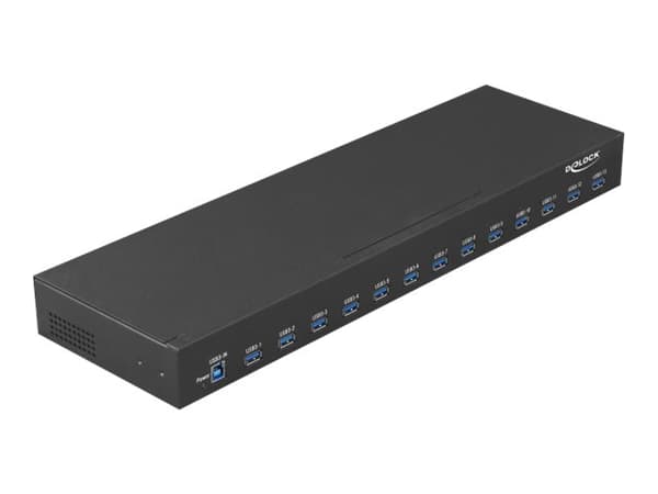 DeLock - Hub - 13 x USB 3.1 Gen 1 - monterbar på stativ