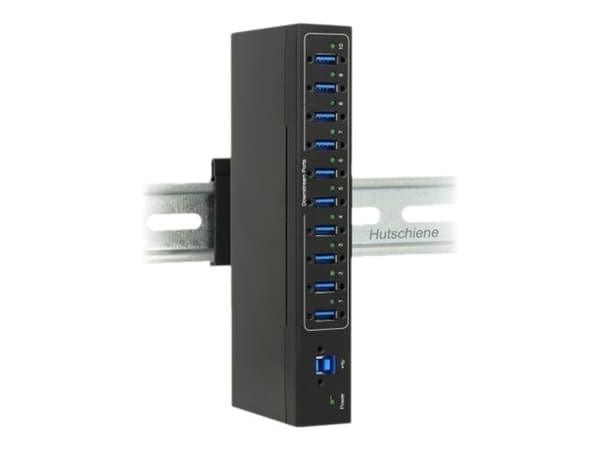 Delock External Industry Hub 10 x USB 3.0 Type-A with 20 kV ESD protection - Hubb - 10 x SuperSpeed USB 3.0 - DIN-skenmonterbar, väggmonterbar - liks
