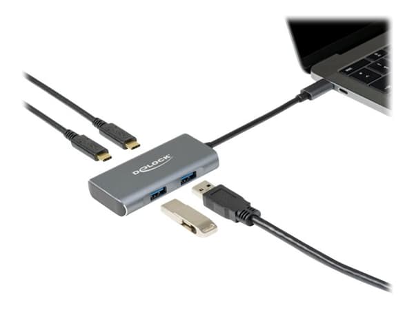 Delock - Hubb - 2 x USB 3.2 Gen 2 + 2 x USB-C 3.2 Gen 2 - skrivbordsmodell