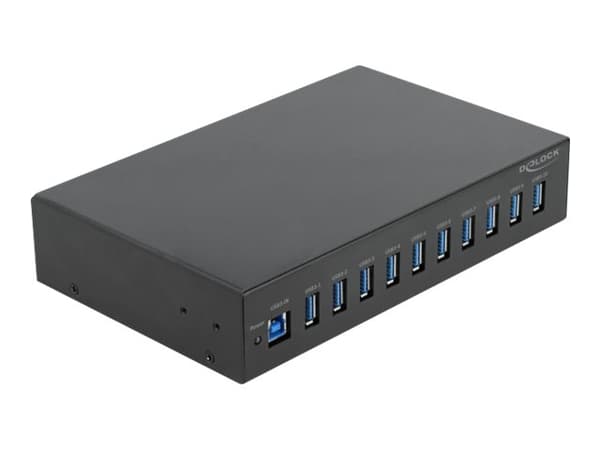 Delock - Hubb - 10 x USB 3.2 Gen 1 - skrivbordsmodell
