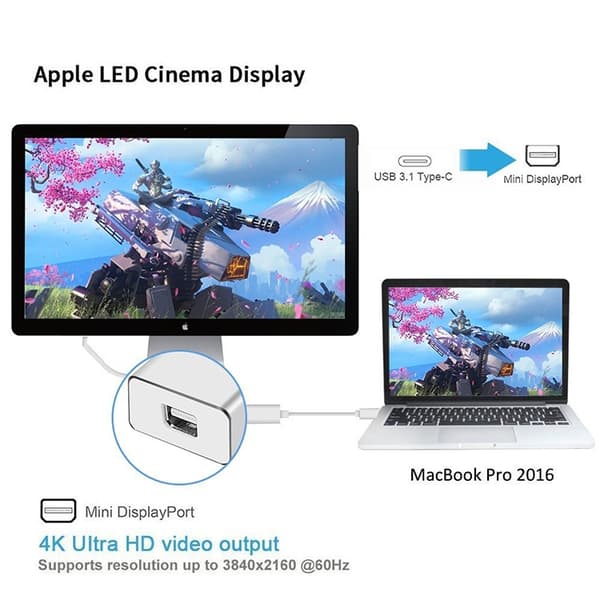 Adapter USB-C till Mini DisplayPort 12cm - Silver