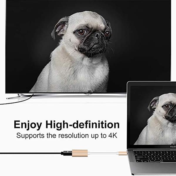 Adapter USB-C till Mini DisplayPort 12cm - Silver