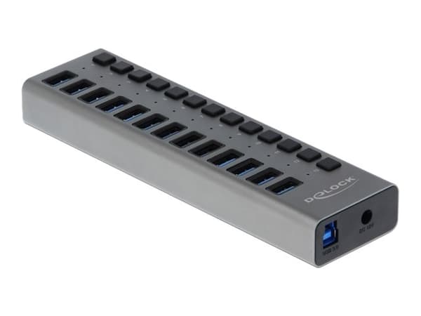 Delock - Hubb - 13 x SuperSpeed USB 3.0 - skrivbordsmodell