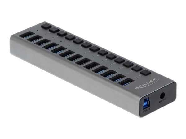 Delock - Hubb - 13 x SuperSpeed USB 3.0 - skrivbordsmodell