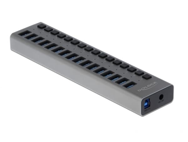Delock - Hubb - 16 x SuperSpeed USB 3.0 - skrivbordsmodell
