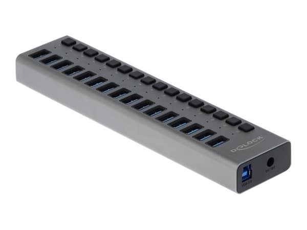 Delock - Hubb - 16 x SuperSpeed USB 3.0 - skrivbordsmodell