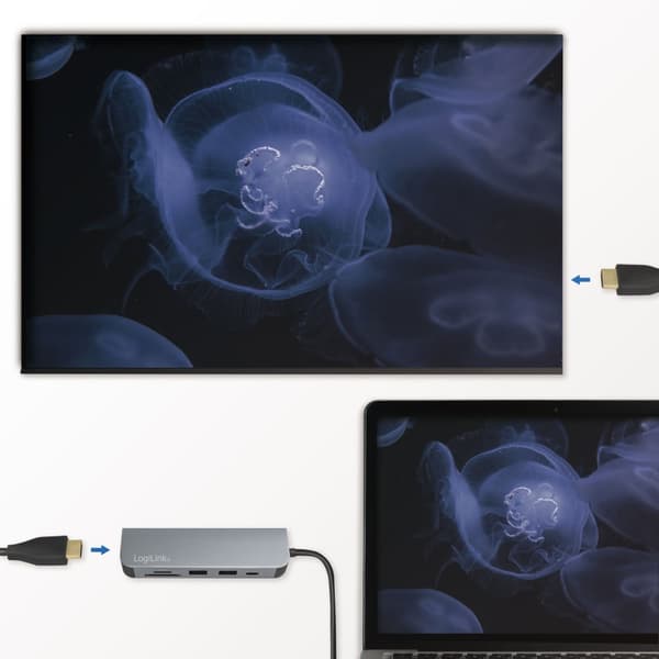 USB-C Multi-Hub HDMI / PD / DeX