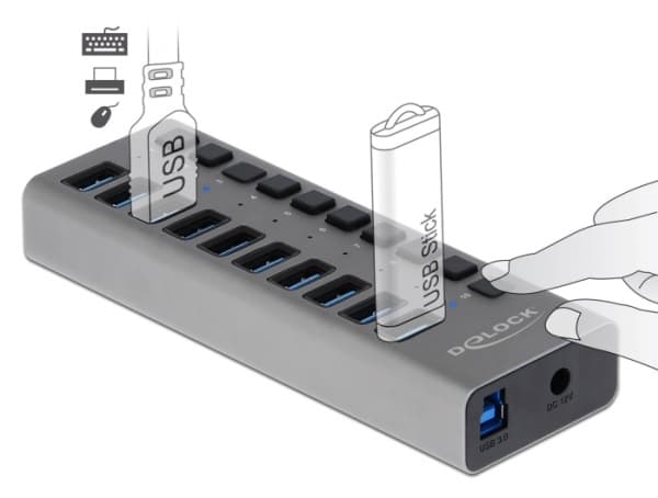 Delock - Hubb - 10 x SuperSpeed USB 3.0 - skrivbordsmodell