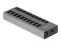 Miniatyrbild 1 av 5: Delock - Hubb - 10 x SuperSpeed USB 3.0 - skrivbordsmodell