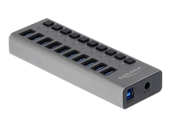 Delock - Hubb - 10 x SuperSpeed USB 3.0 - skrivbordsmodell