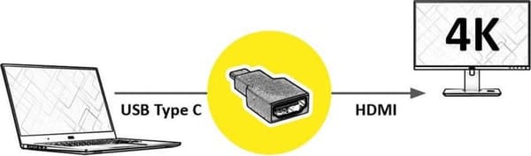 Roline USB-C til HDMI Adapter med DP Alt Mode (4K 30 Hz) / Sort