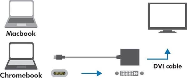 DeLOCK Premium USB-C til DVI adapter med DP Alt Mode (1920 x 1200) / sort - 0,20 meter