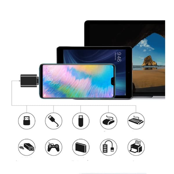 USB-C til USB 3.1 adapter Sort