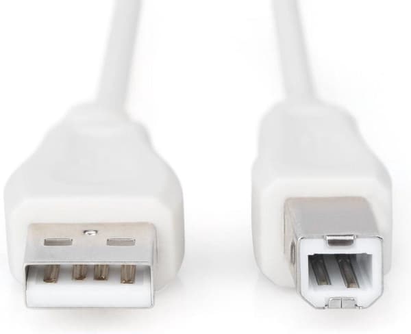 Digitus USB-kabel USB 2.0 USB-A-stik, USB-B-stik 1,80 m Beige
