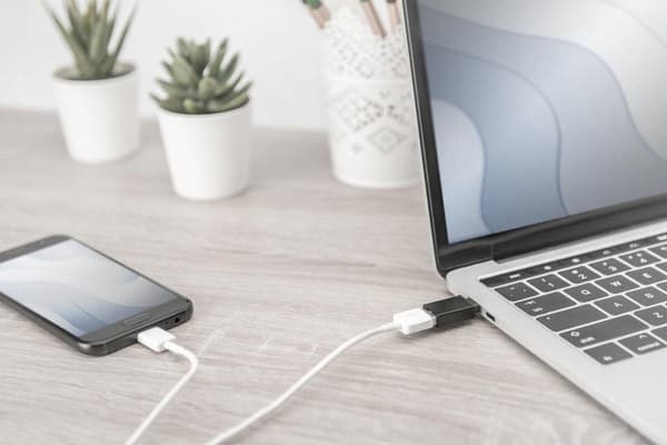 ASSMANN Elektroniske kabeladaptere/adaptere USB C/USB A